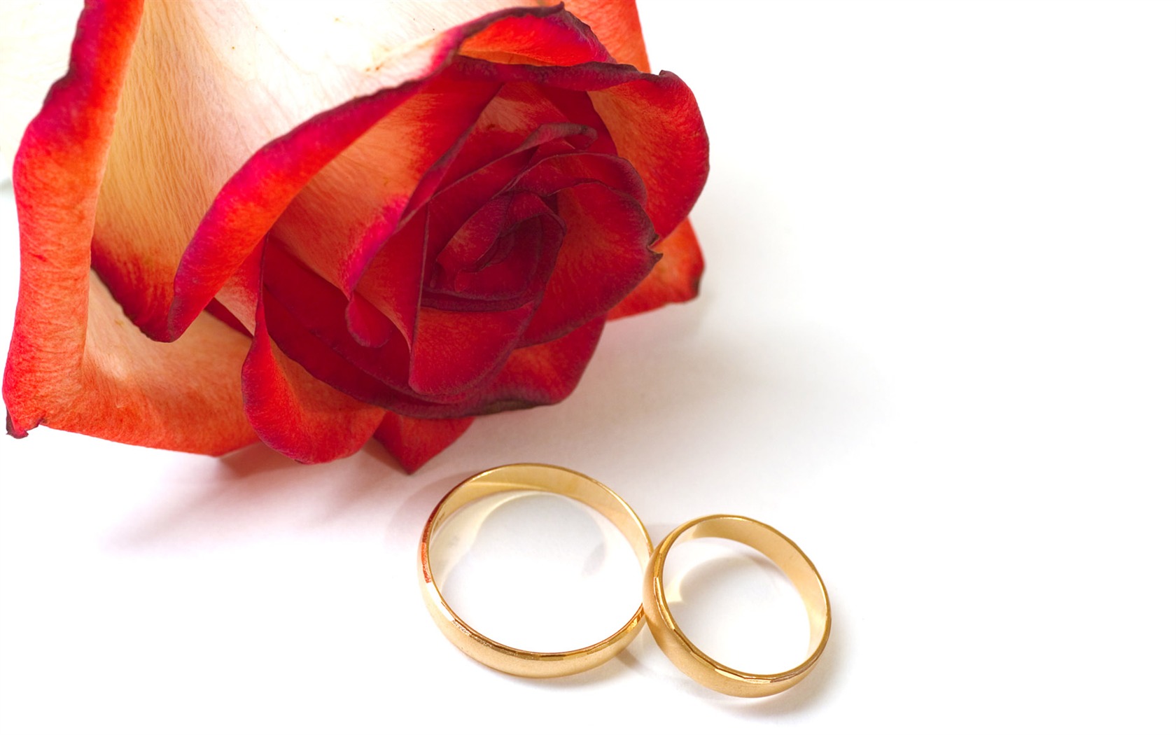 Свадьбы и свадебные кольца обои (2) #6 - 1680x1050