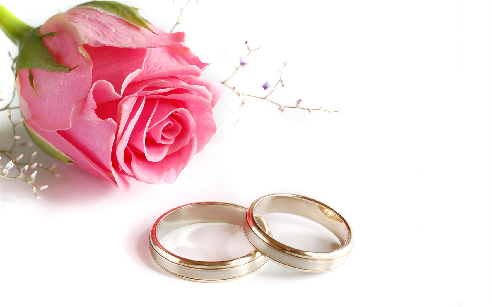 Свадьбы и свадебные кольца обои (2) #12 - 1680x1050