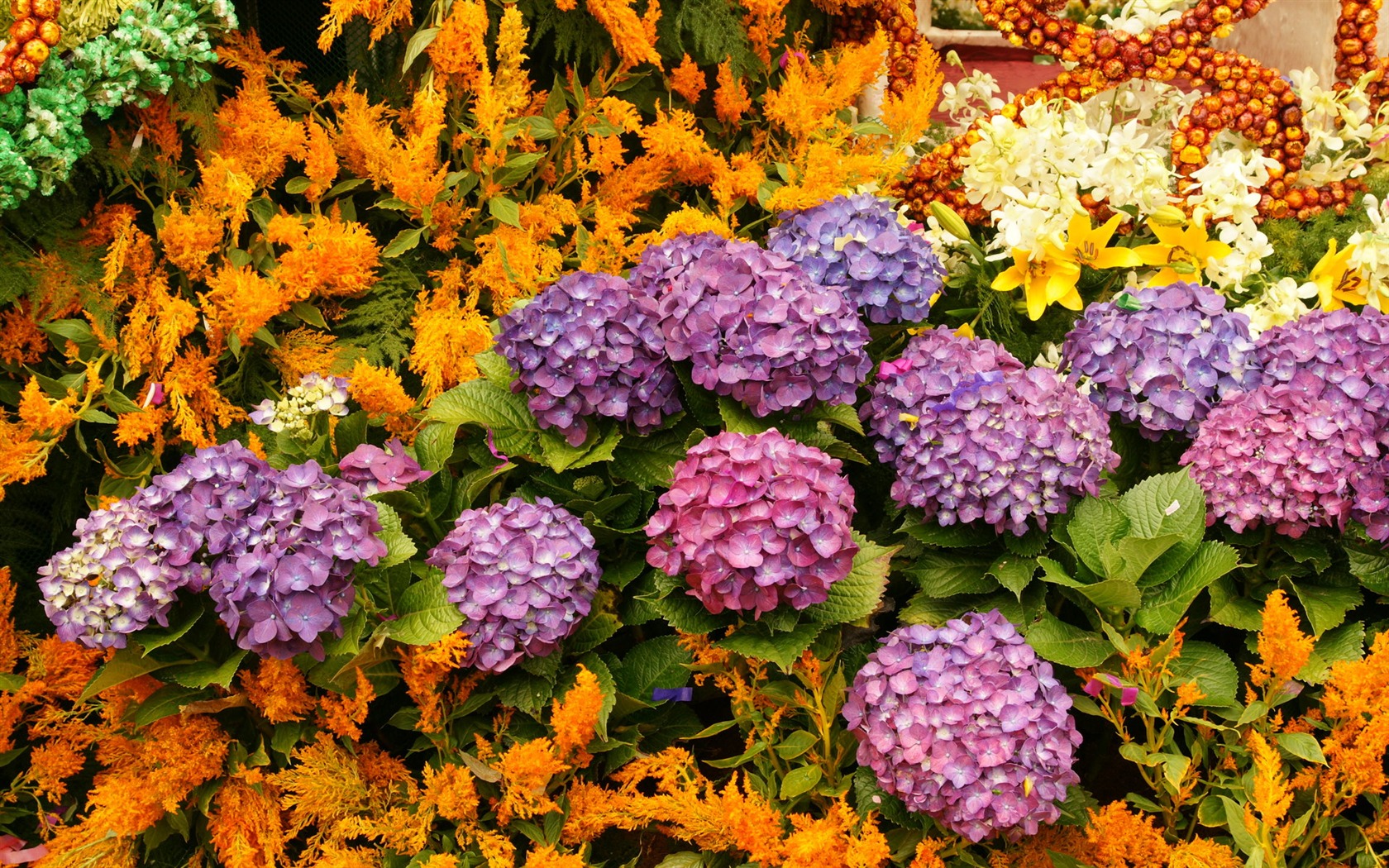 Colorful flowers decorate wallpaper (4) #13 - 1680x1050