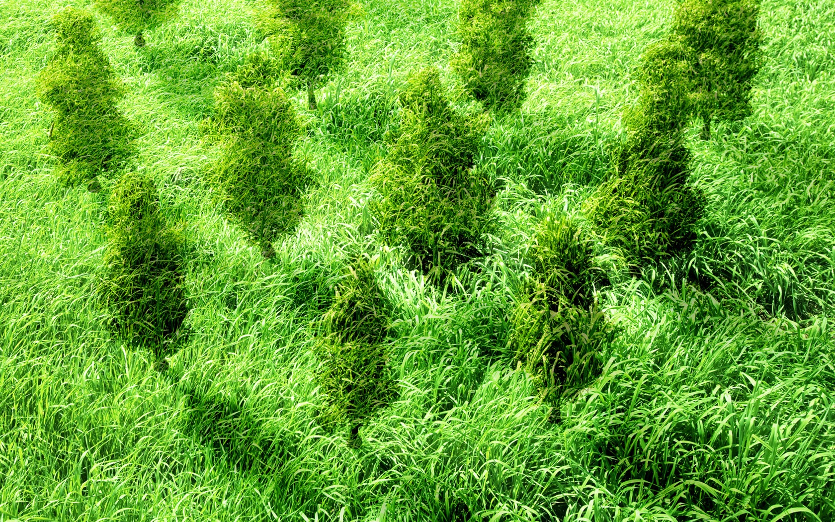 Zelená a přírodní Wallpaper (4) #13 - 1680x1050