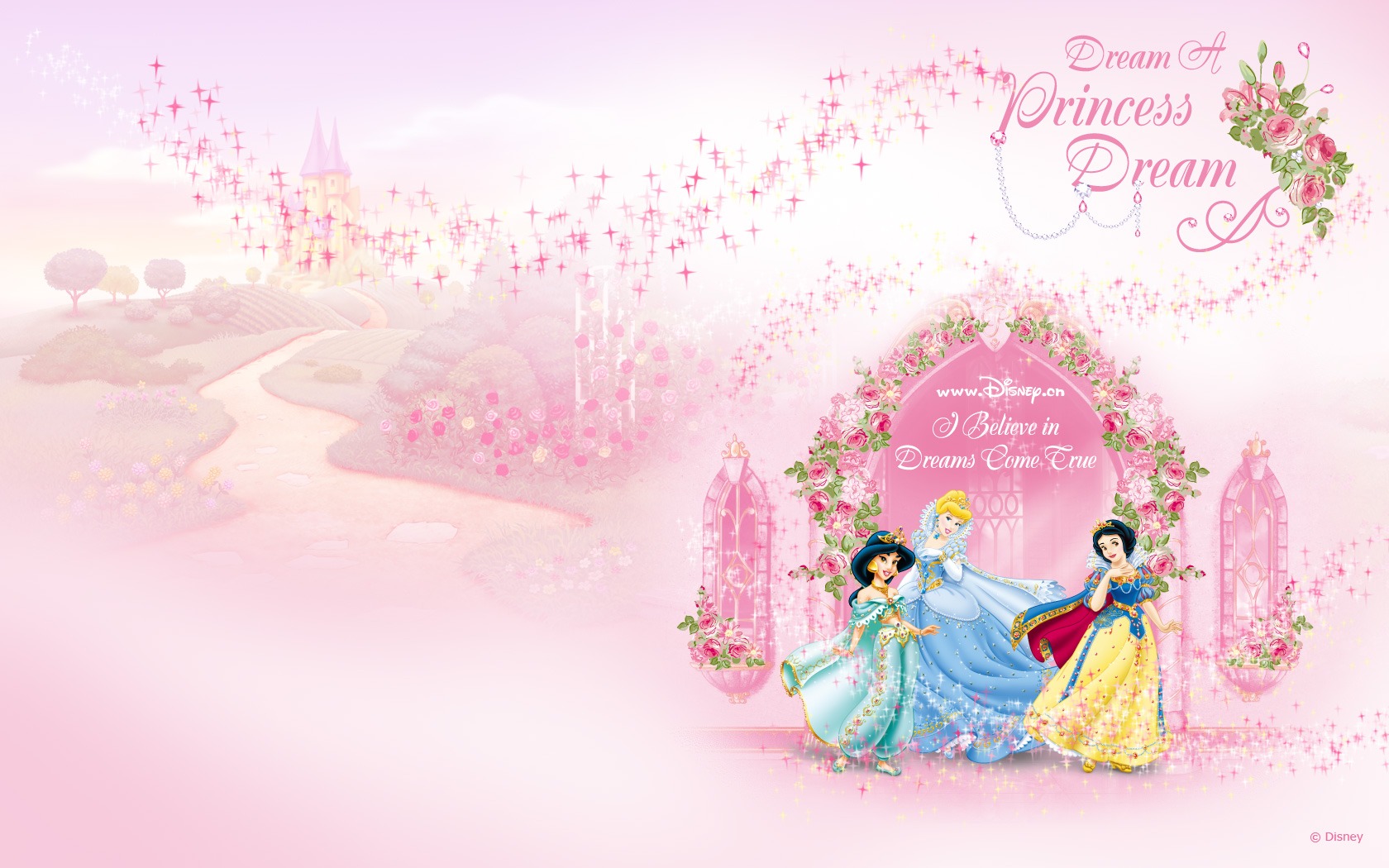 Princess Disney cartoon wallpaper (1) #2 - 1680x1050