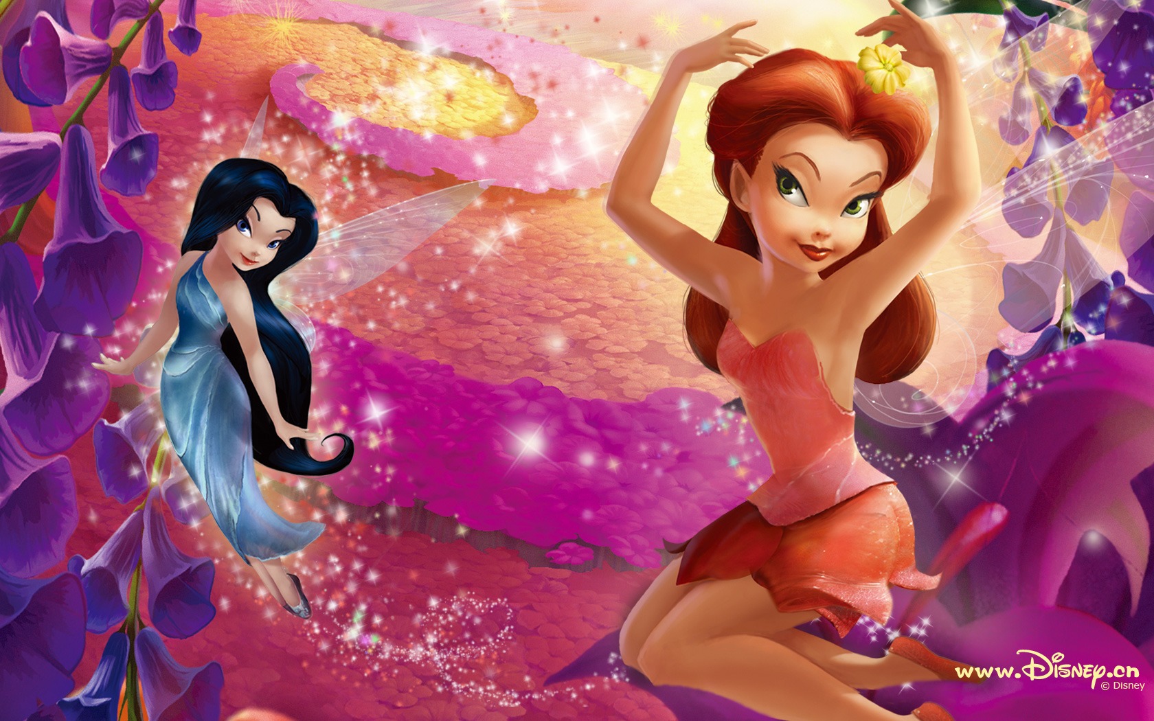 Princess Disney cartoon wallpaper (1) #6 - 1680x1050