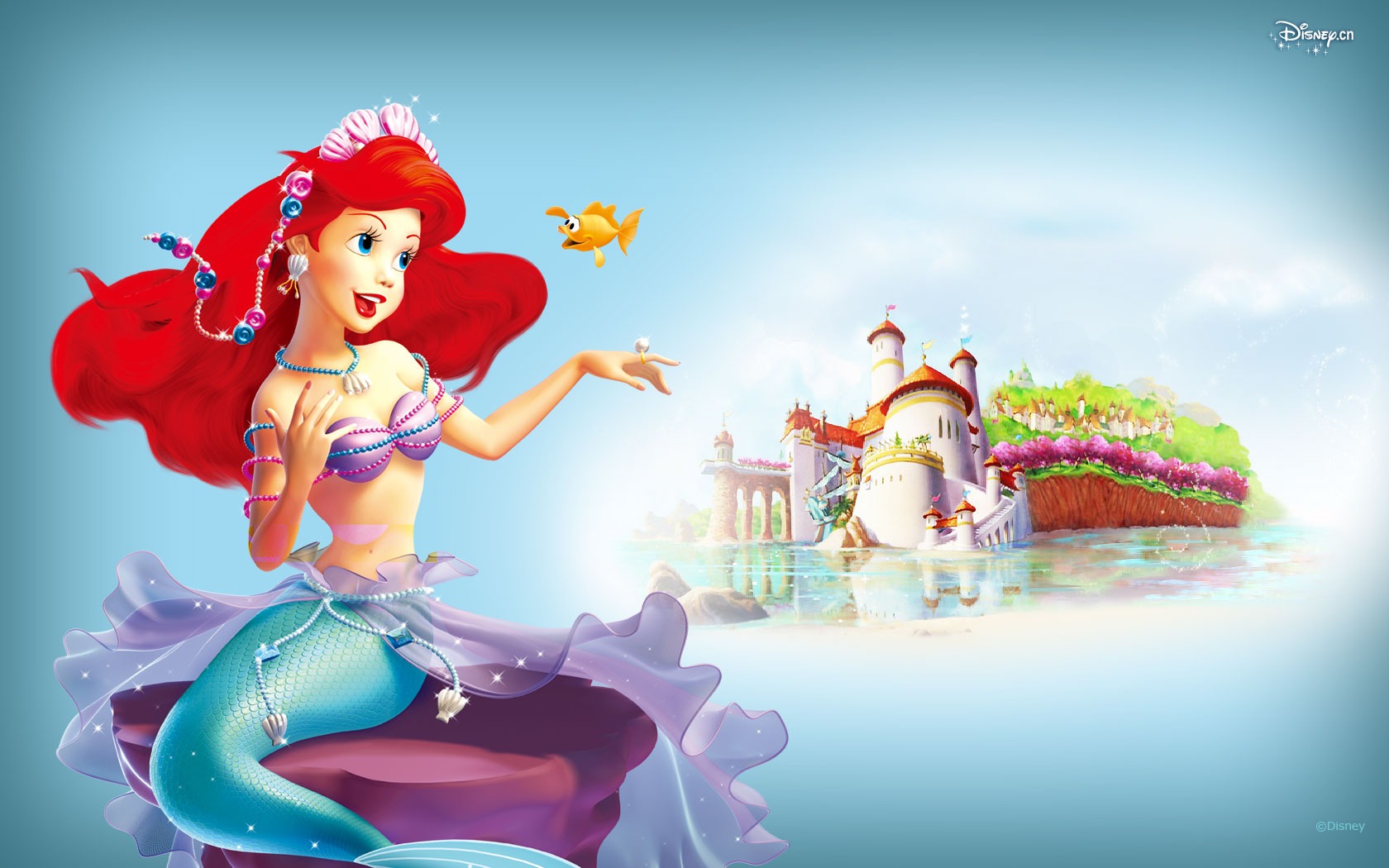 Fond d'écran dessin animé de Disney Princess (3) #14 - 1680x1050
