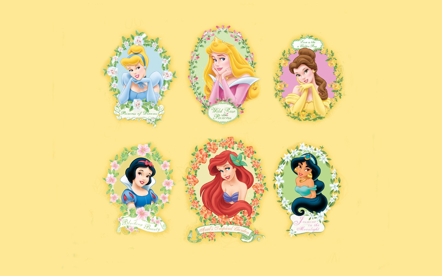 Princesa Disney de dibujos animados fondos de escritorio (4) #17 - 1680x1050
