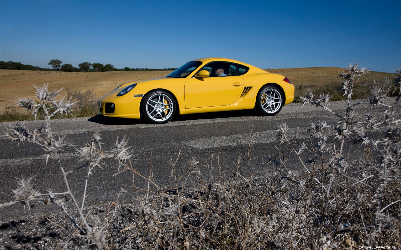 Porsche Cayman S - 2009 HD обои #18 - 1680x1050