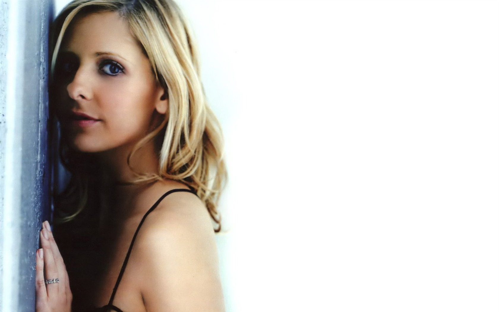 Sarah Michelle Gellar hermosos fondos de escritorio (1) #15 - 1680x1050