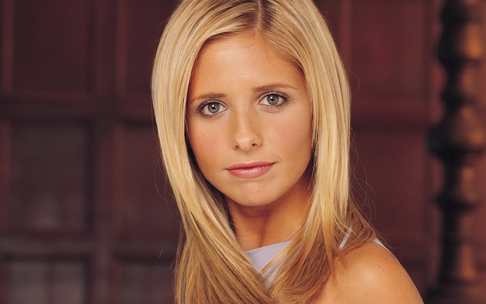 Sarah Michelle Gellar hermosos fondos de escritorio (2) #14 - 1680x1050