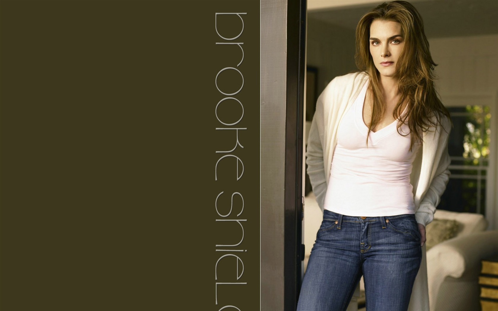 Brooke Shields krásnou tapetu #23 - 1680x1050
