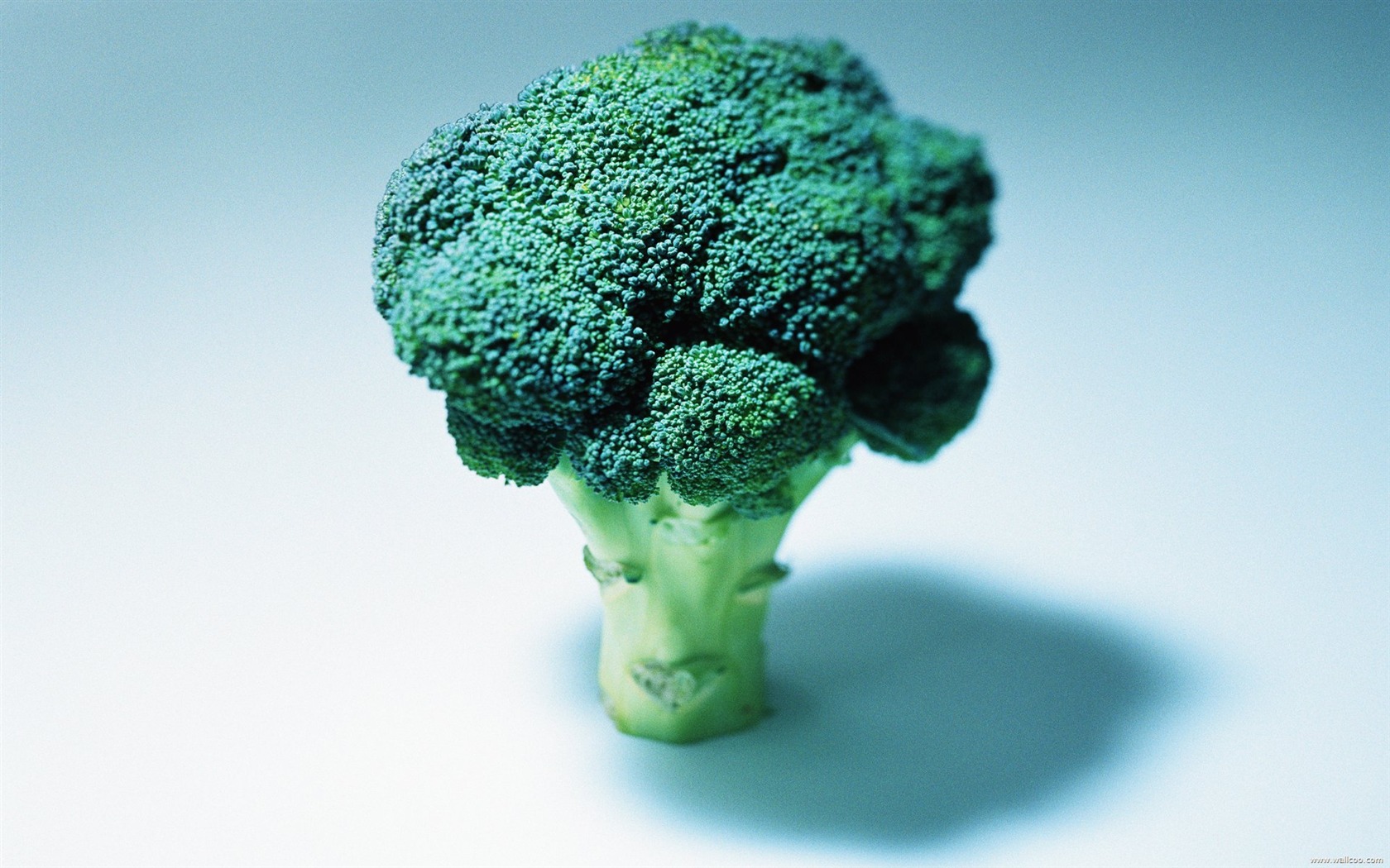 Fond d'écran vert des légumes sains #3 - 1680x1050