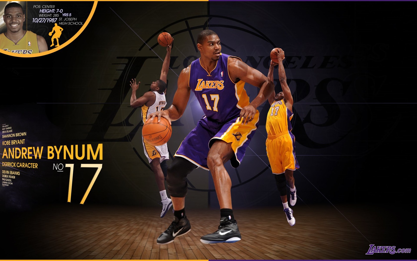 НБА 2010-11 сезона, Лос-Анджелес Лейкерс стола #2 - 1680x1050
