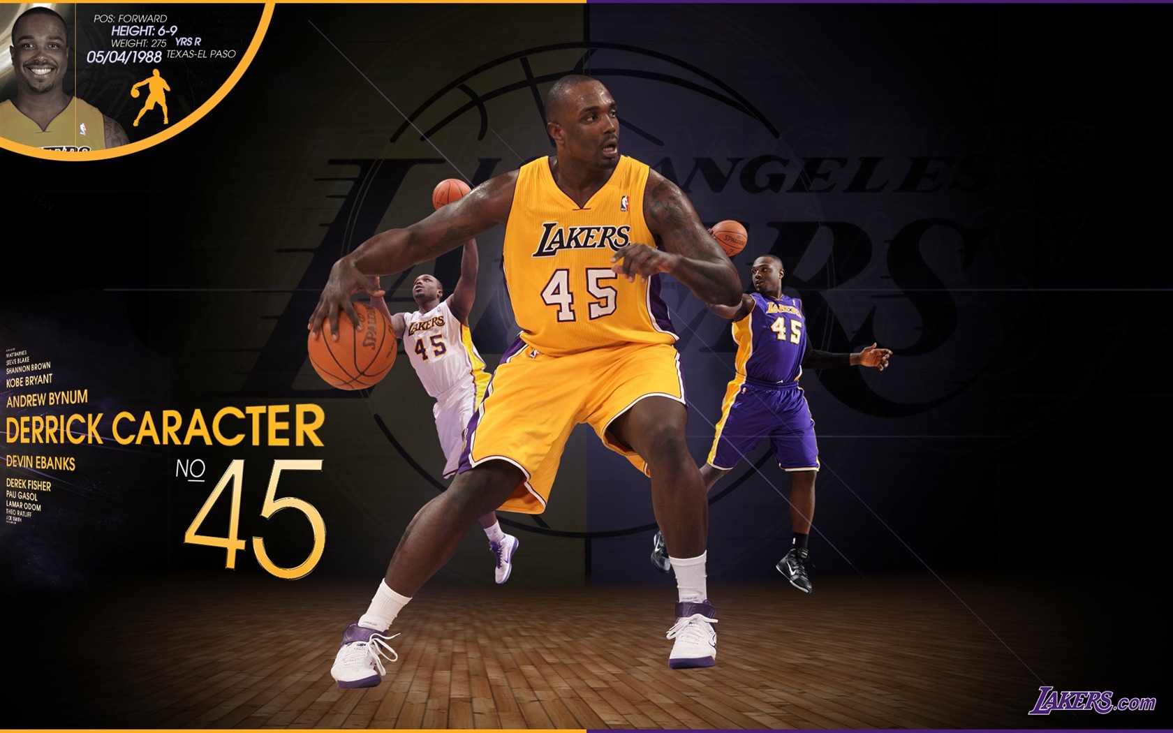 НБА 2010-11 сезона, Лос-Анджелес Лейкерс стола #3 - 1680x1050