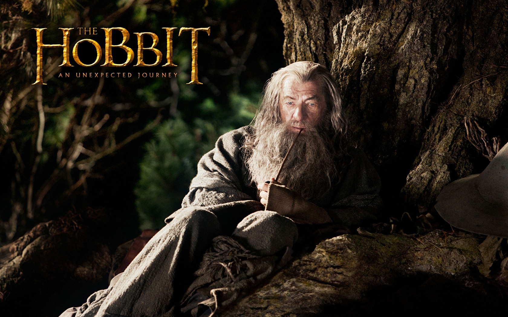 El Hobbit: Un viaje inesperado fondos de pantalla HD #10 - 1680x1050