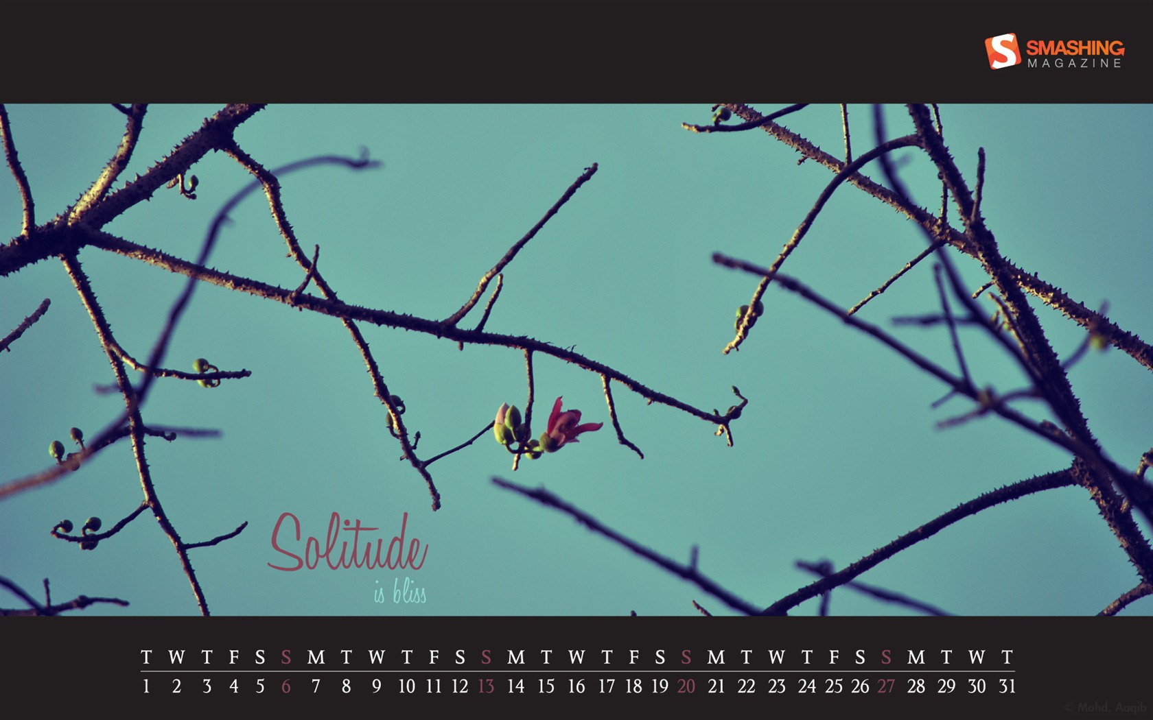 Mai 2012 Kalender Wallpapers (2) #7 - 1680x1050