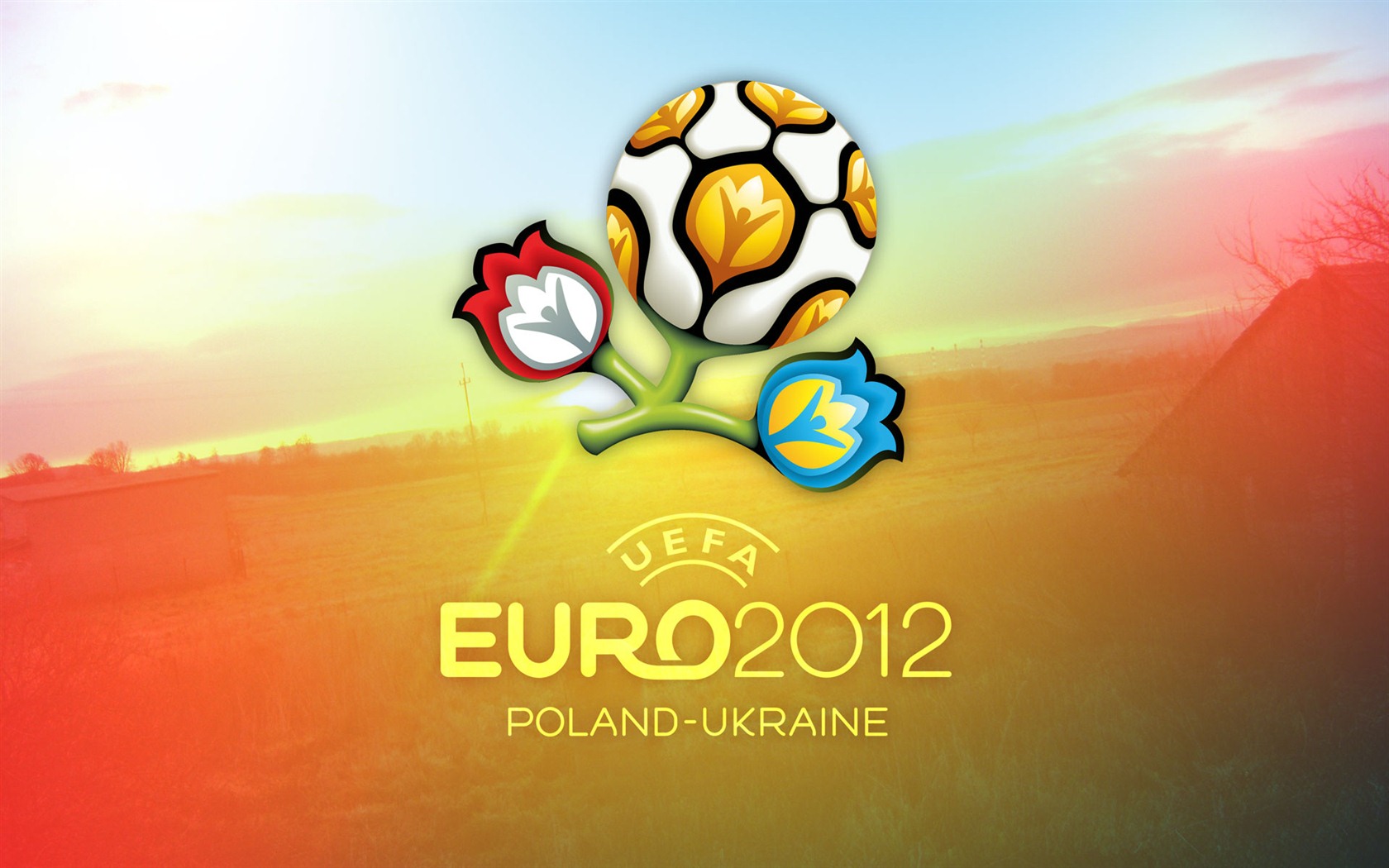 UEFA EURO 2012年歐錦賽高清壁紙(一) #1 - 1680x1050