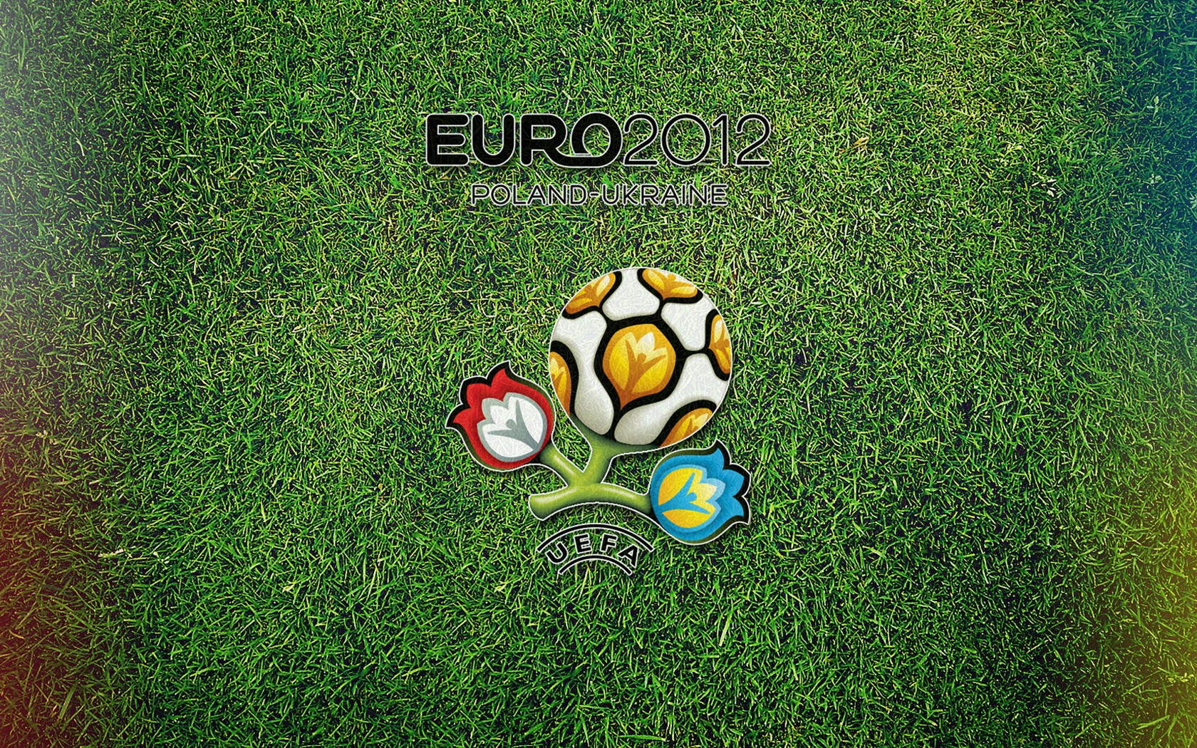 UEFA EURO 2012 欧洲足球锦标赛 高清壁纸(一)15 - 1680x1050