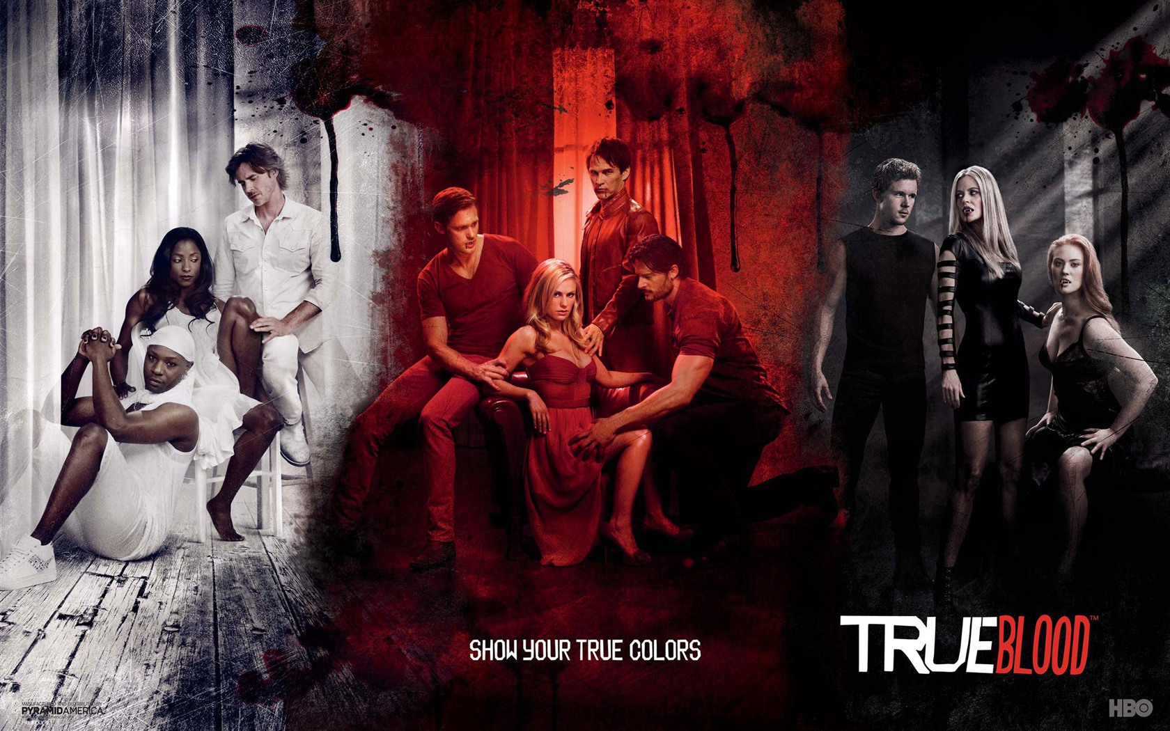 True Blood сериал HD обои #2 - 1680x1050