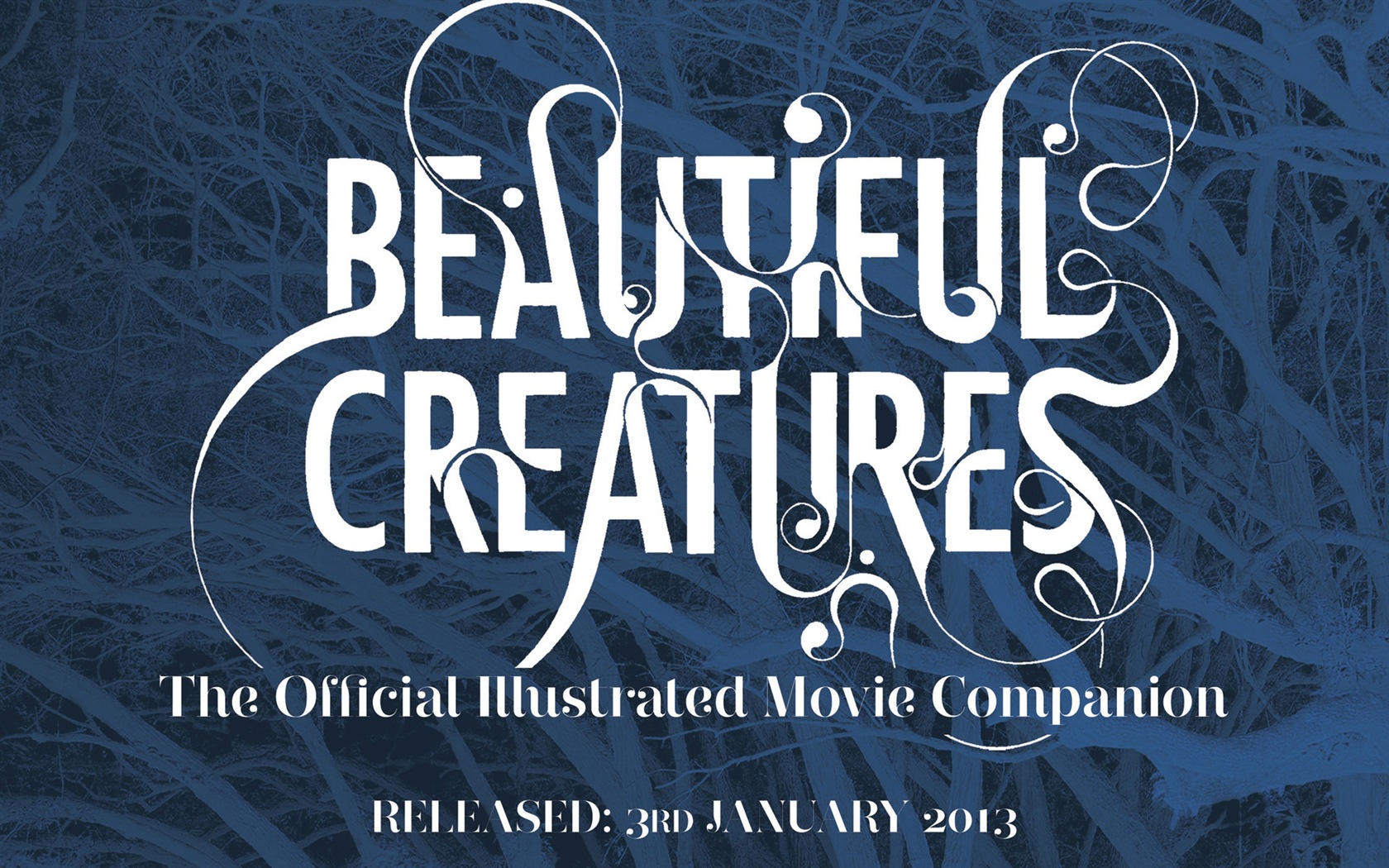 Beautiful Creatures 2013 обои HD фильмов #4 - 1680x1050