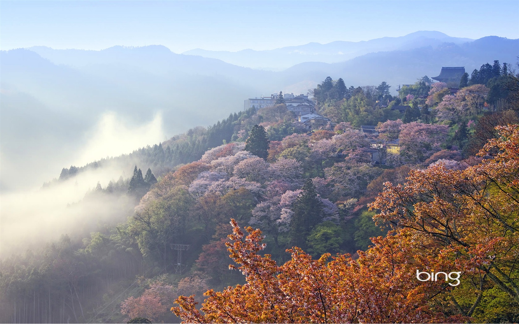 Microsoft Bing HD обои: Японский обои темы пейзаж #12 - 1680x1050