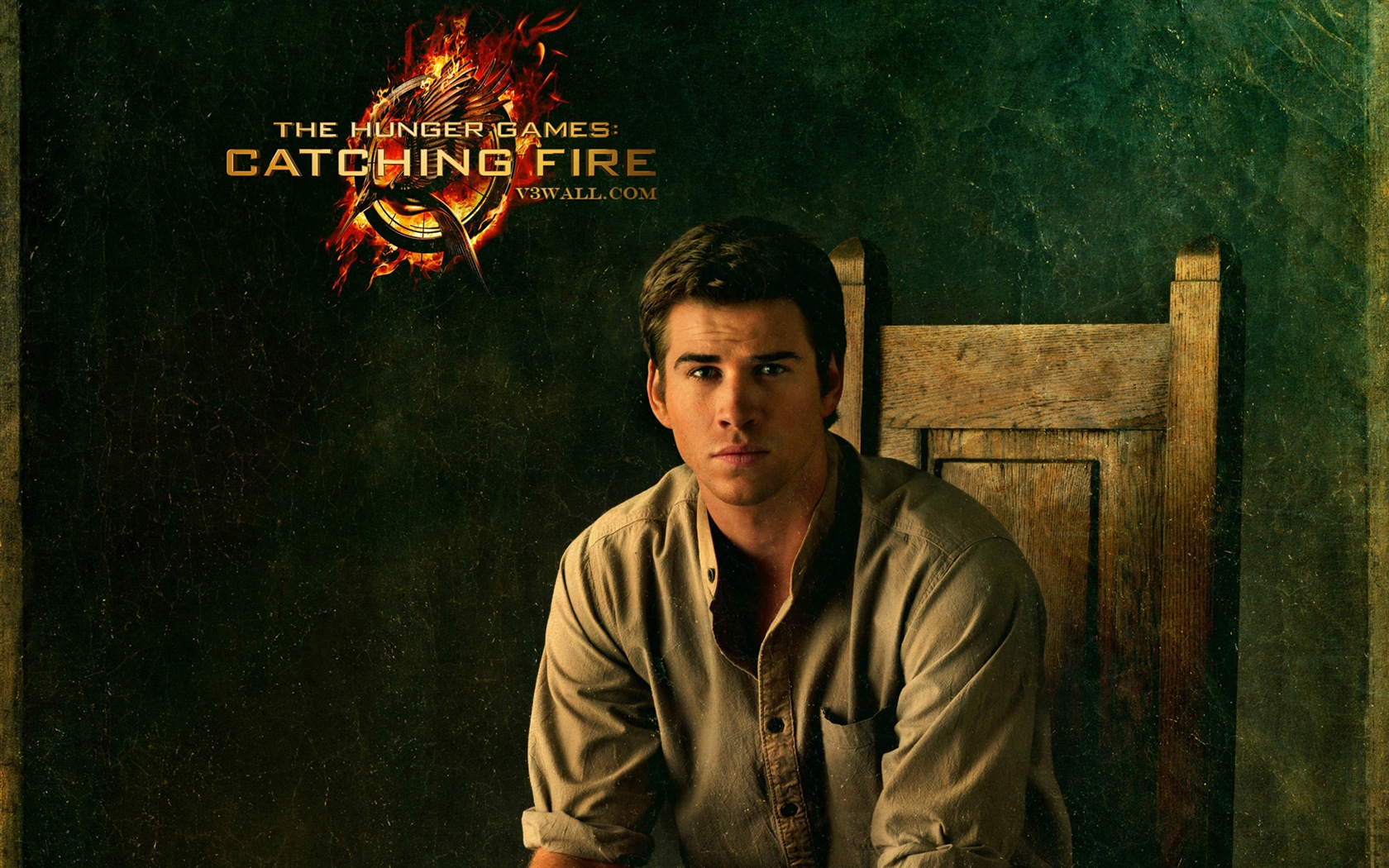 The Hunger Games: Catching Fire wallpapers HD #9 - 1680x1050