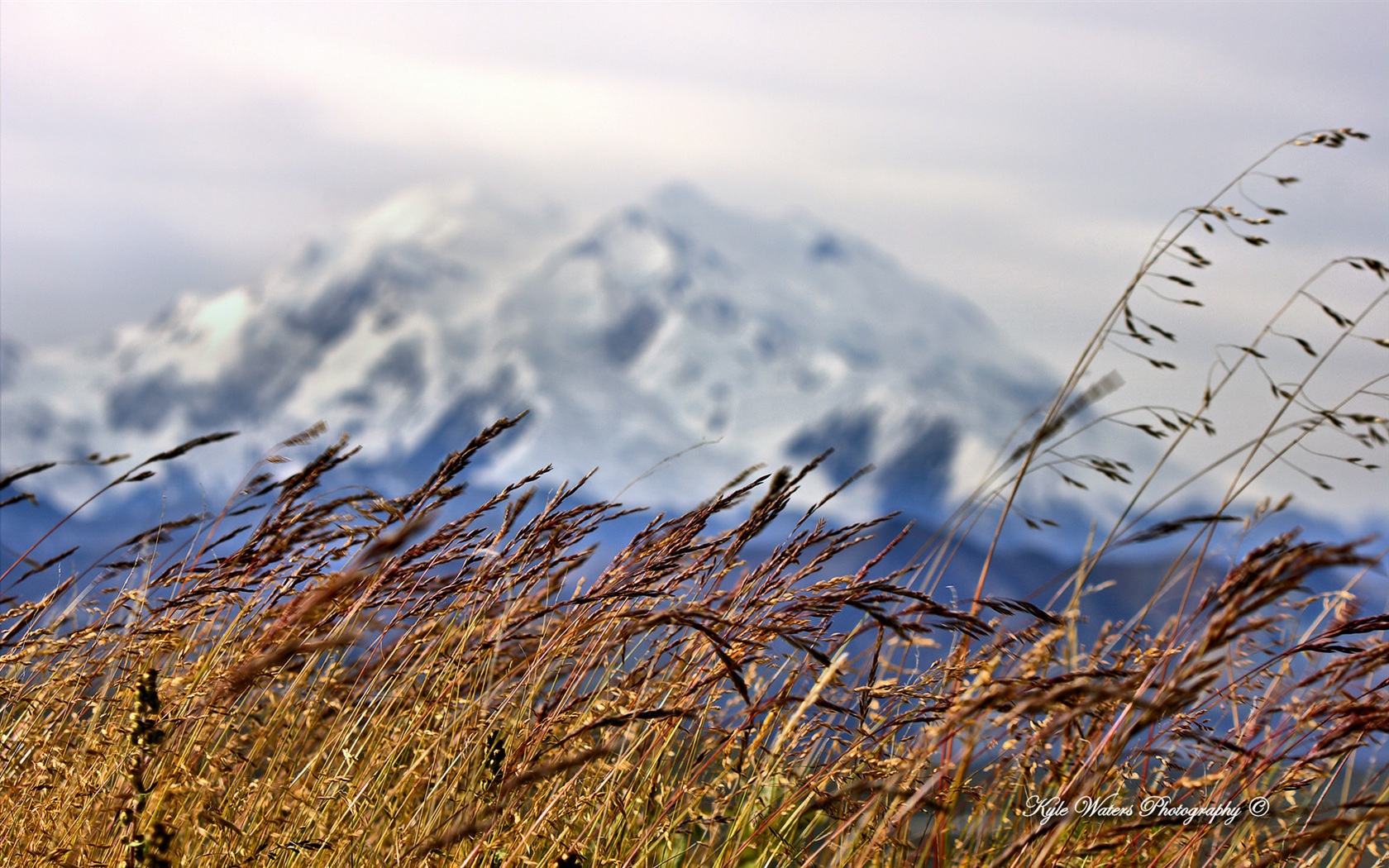 윈도우 8 테마 배경 화면 : 알래스카 풍경 #15 - 1680x1050