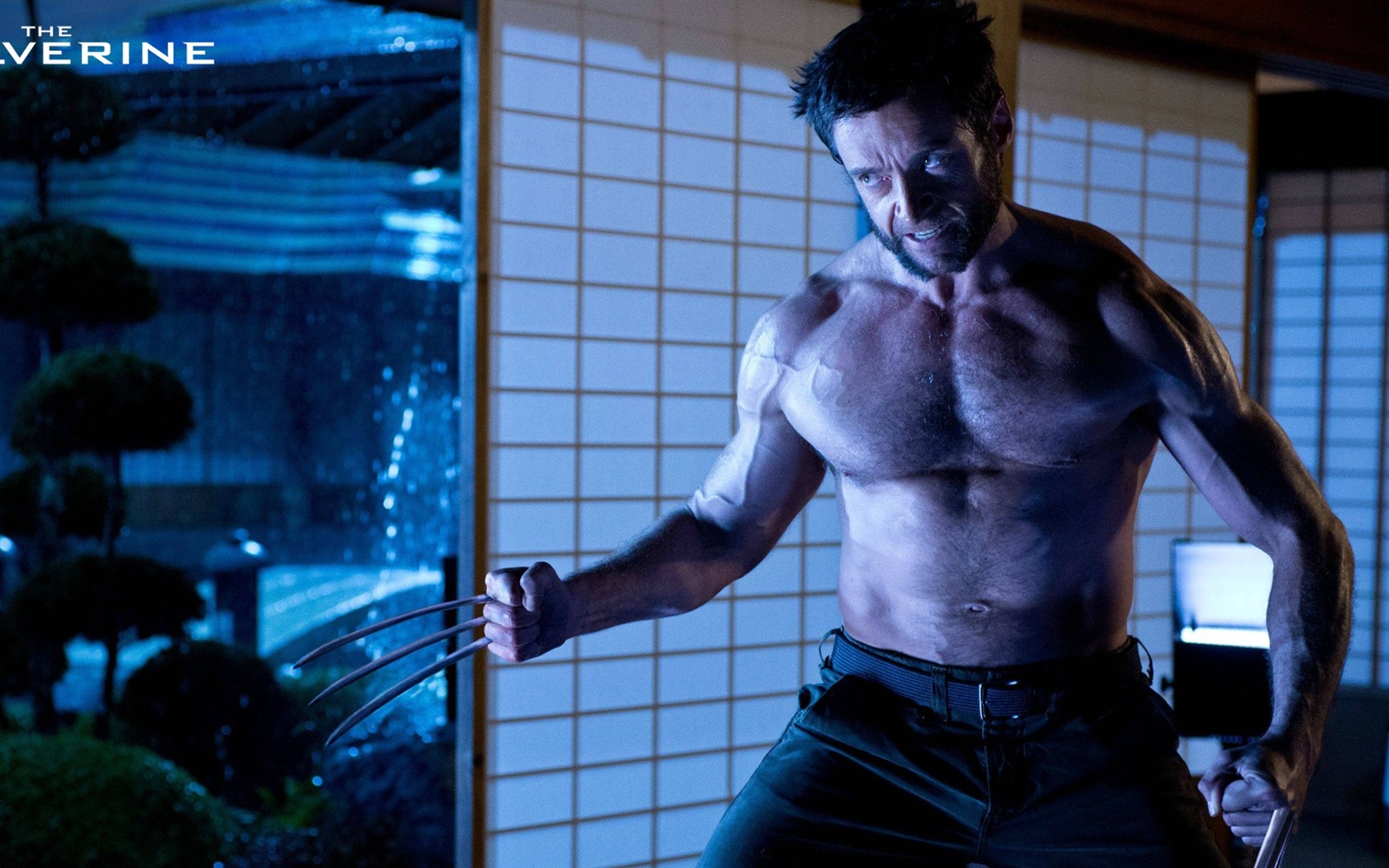 The Wolverine 2013 金刚狼2 高清壁纸6 - 1680x1050