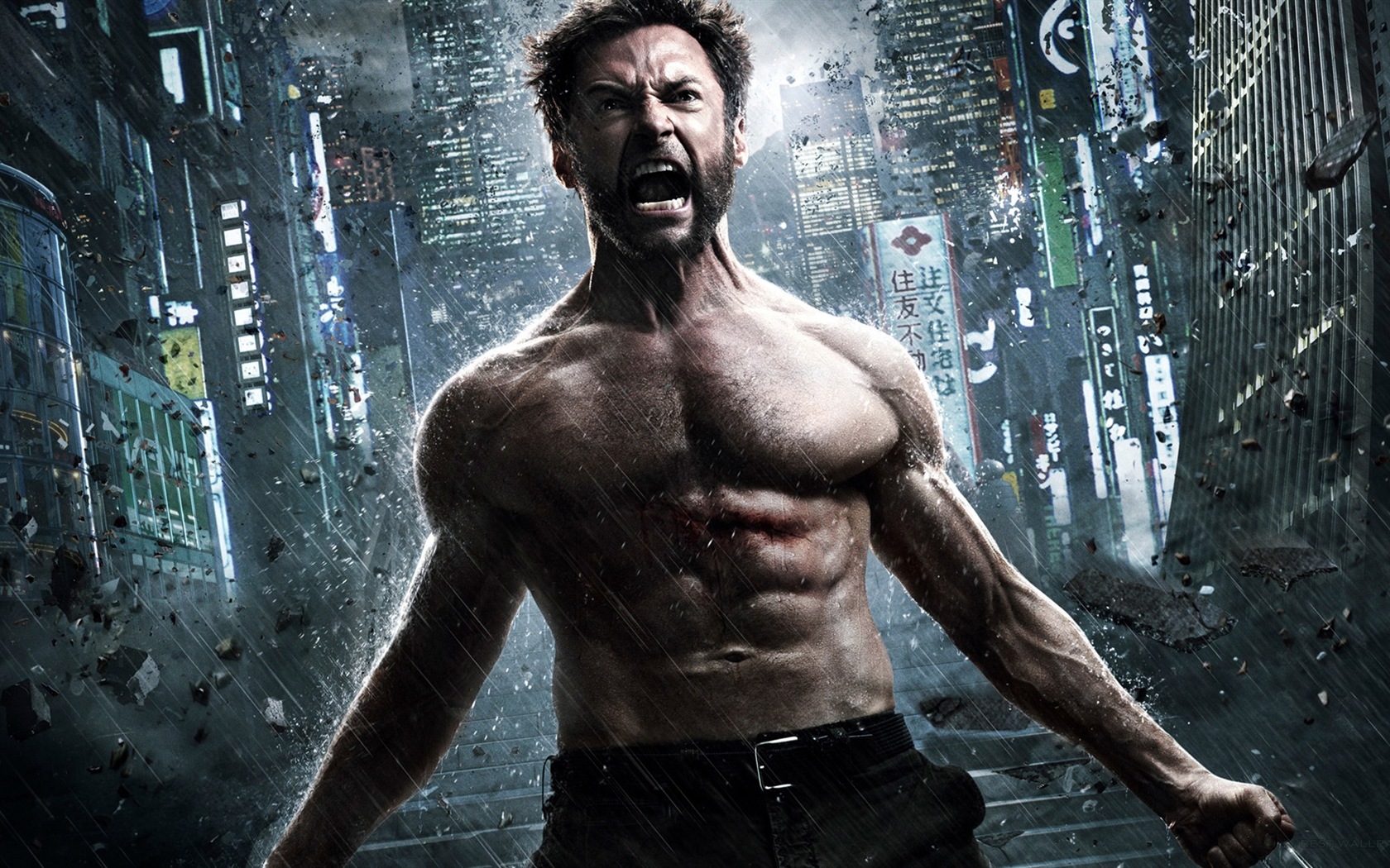 The Wolverine 2013 HD wallpapers #9 - 1680x1050