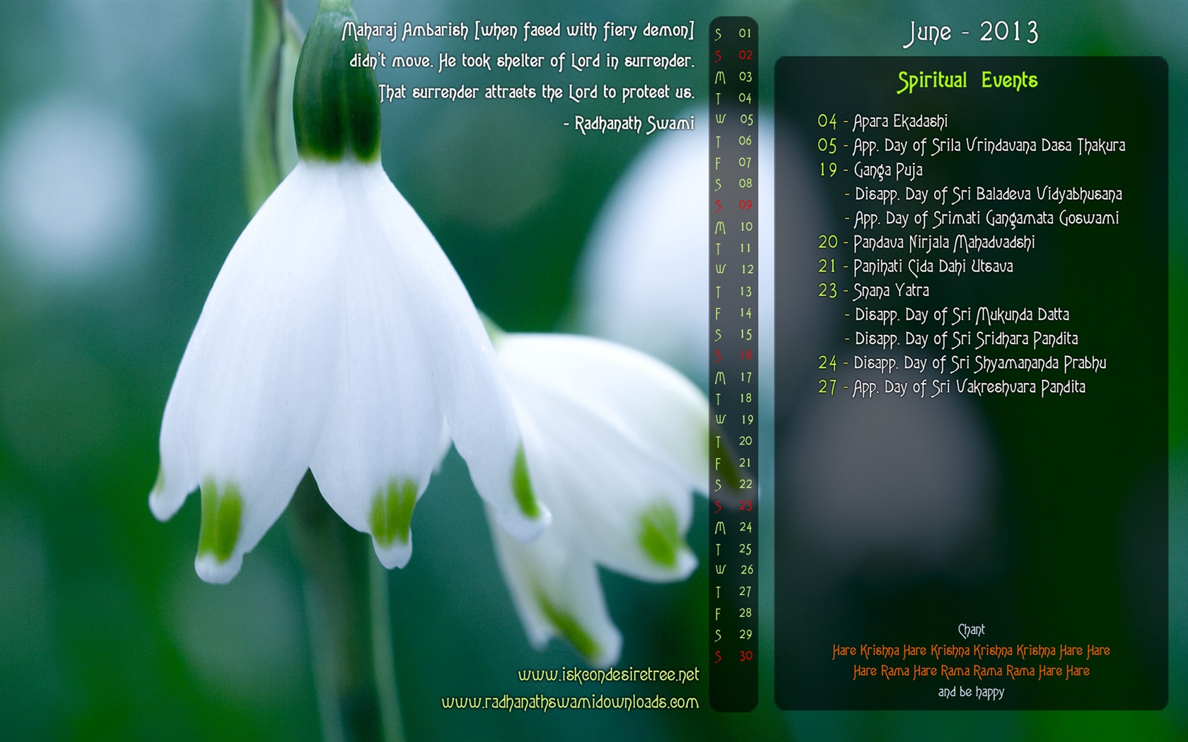 06 2013 calendario fondo de pantalla (1) #9 - 1680x1050