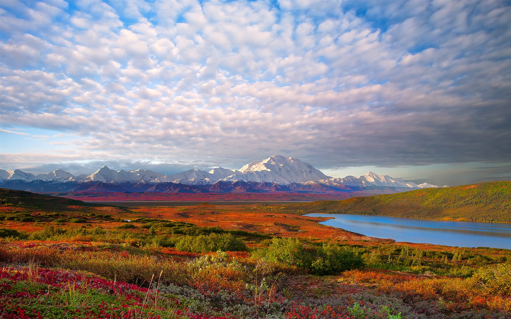 Denali National Park Landscape Wallpapers HD #1 - 1680x1050