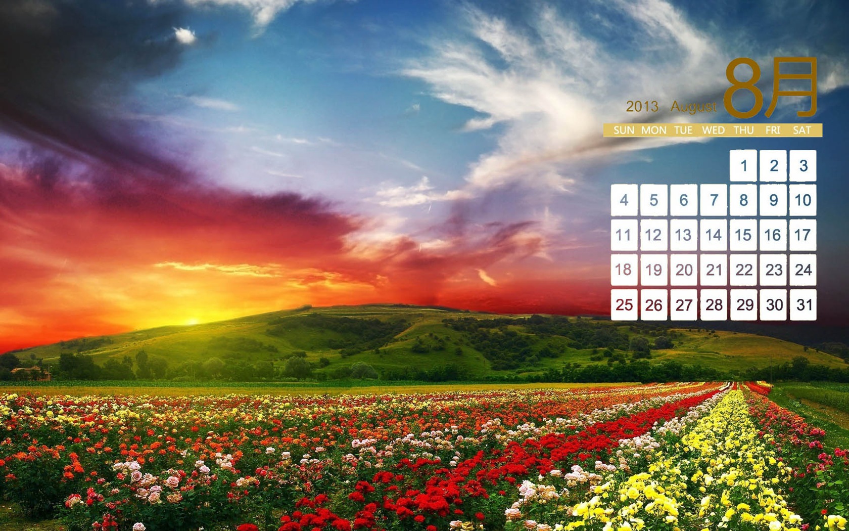 August 2013 calendar wallpaper (2) #18 - 1680x1050