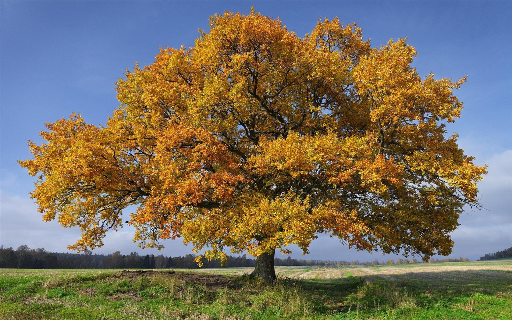 Švédsko sezón přírodní krásy HD tapety na plochu #6 - 1680x1050