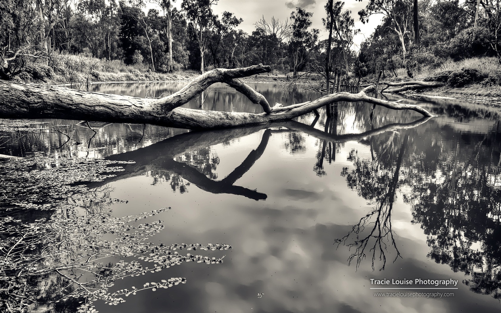 Queensland, Australia, hermosos paisajes, fondos de pantalla de Windows 8 tema de HD #11 - 1680x1050