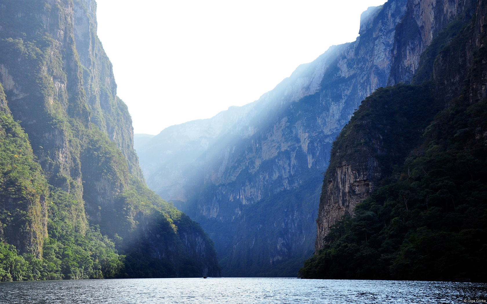 Belles montagnes, lac, forêt, fonds d'écran Windows 8 thème HD #8 - 1680x1050