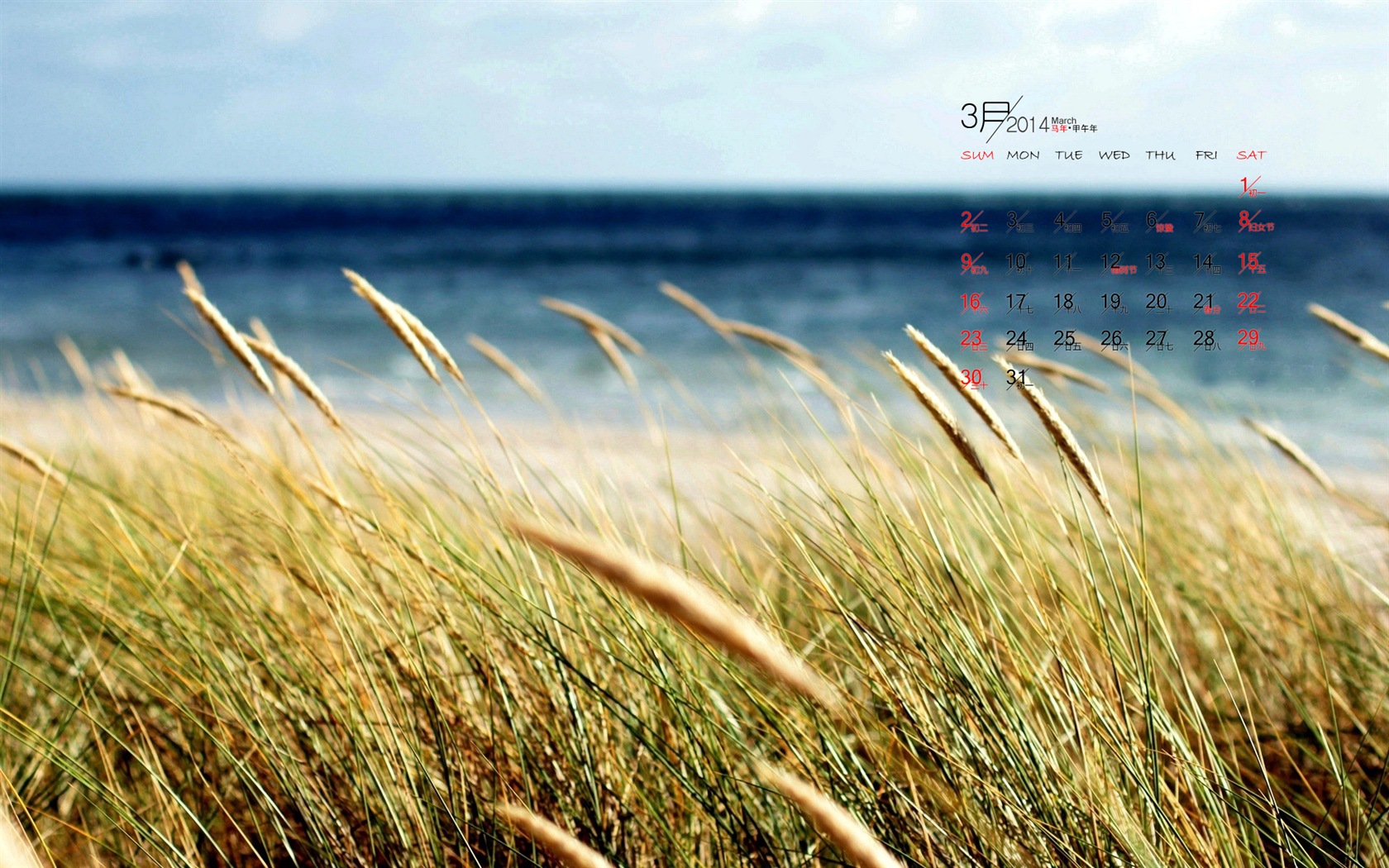 March 2014 calendar wallpaper (1) #5 - 1680x1050