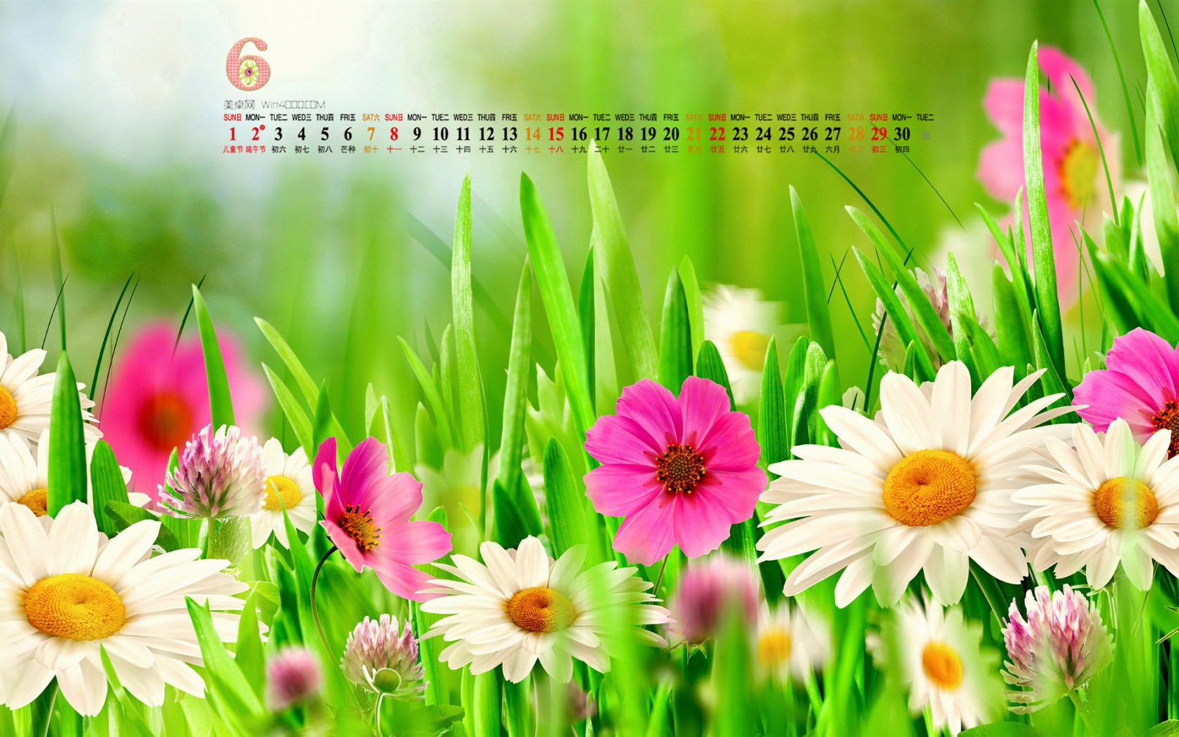 Juni 2014 Kalender Wallpaper (1) #7 - 1680x1050