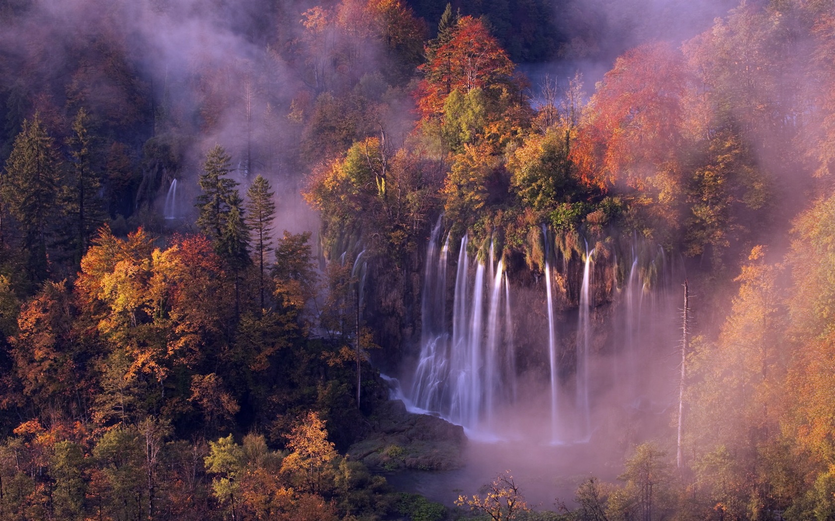 Foggy podzimní listí a stromy HD Tapety na plochu #11 - 1680x1050