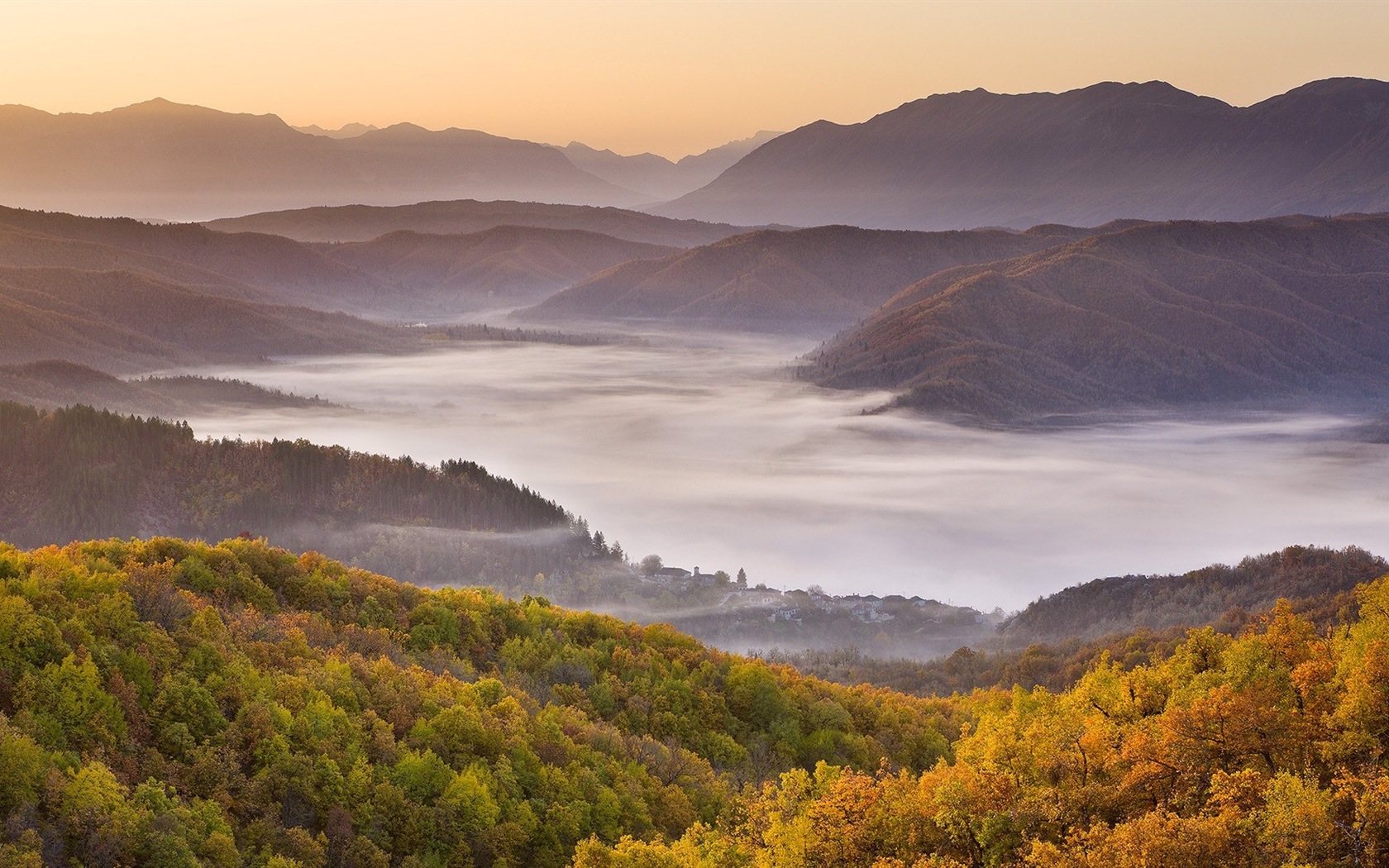 Foggy Herbst Blätter und Bäume HD Wallpaper #16 - 1680x1050