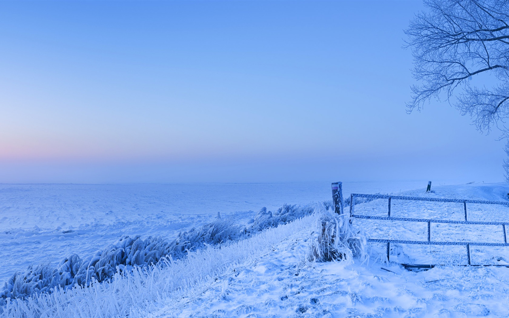 Beautiful cold winter snow, Windows 8 panoramic widescreen wallpapers #2 - 1680x1050