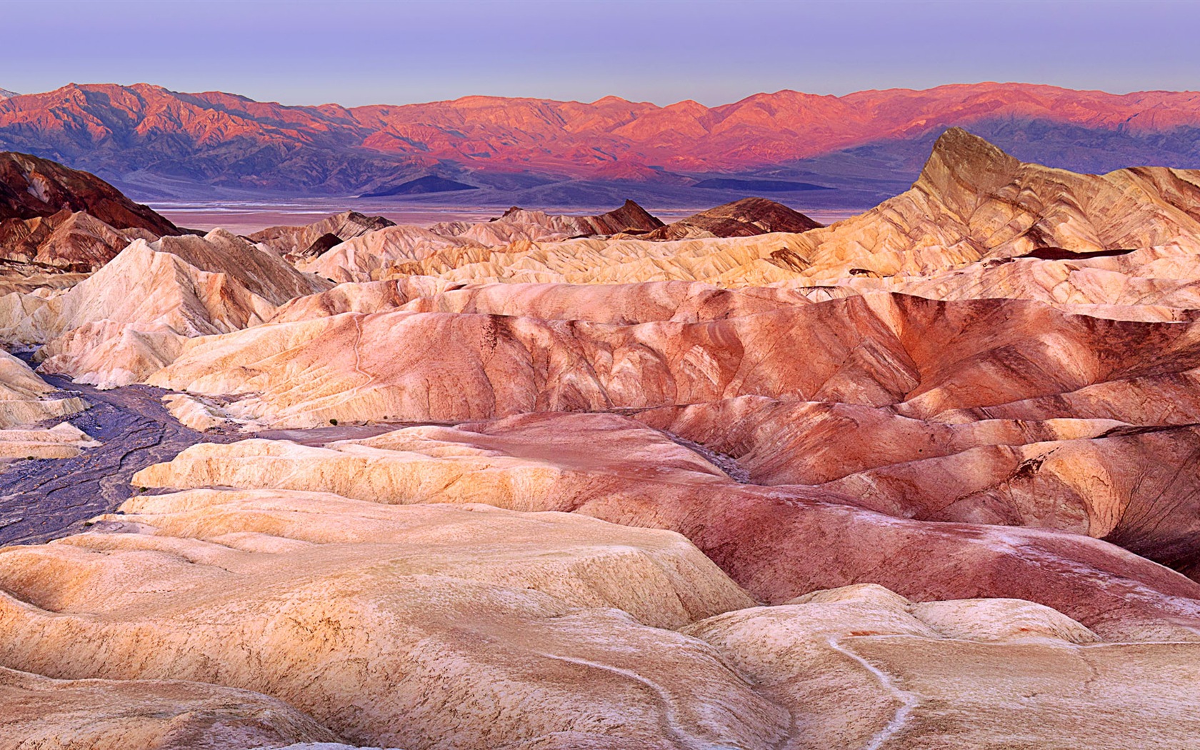뜨겁고 건조한 사막, 윈도우 8 파노라마 와이드 스크린 배경 화면 #10 - 1680x1050