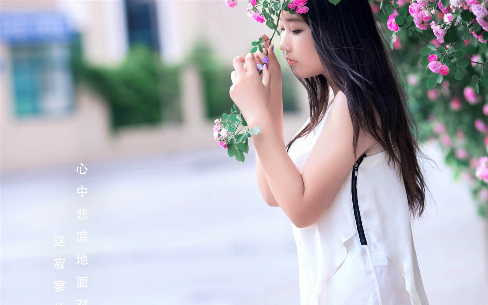 Krásná dívka s růží květ HD tapety #6 - 1680x1050