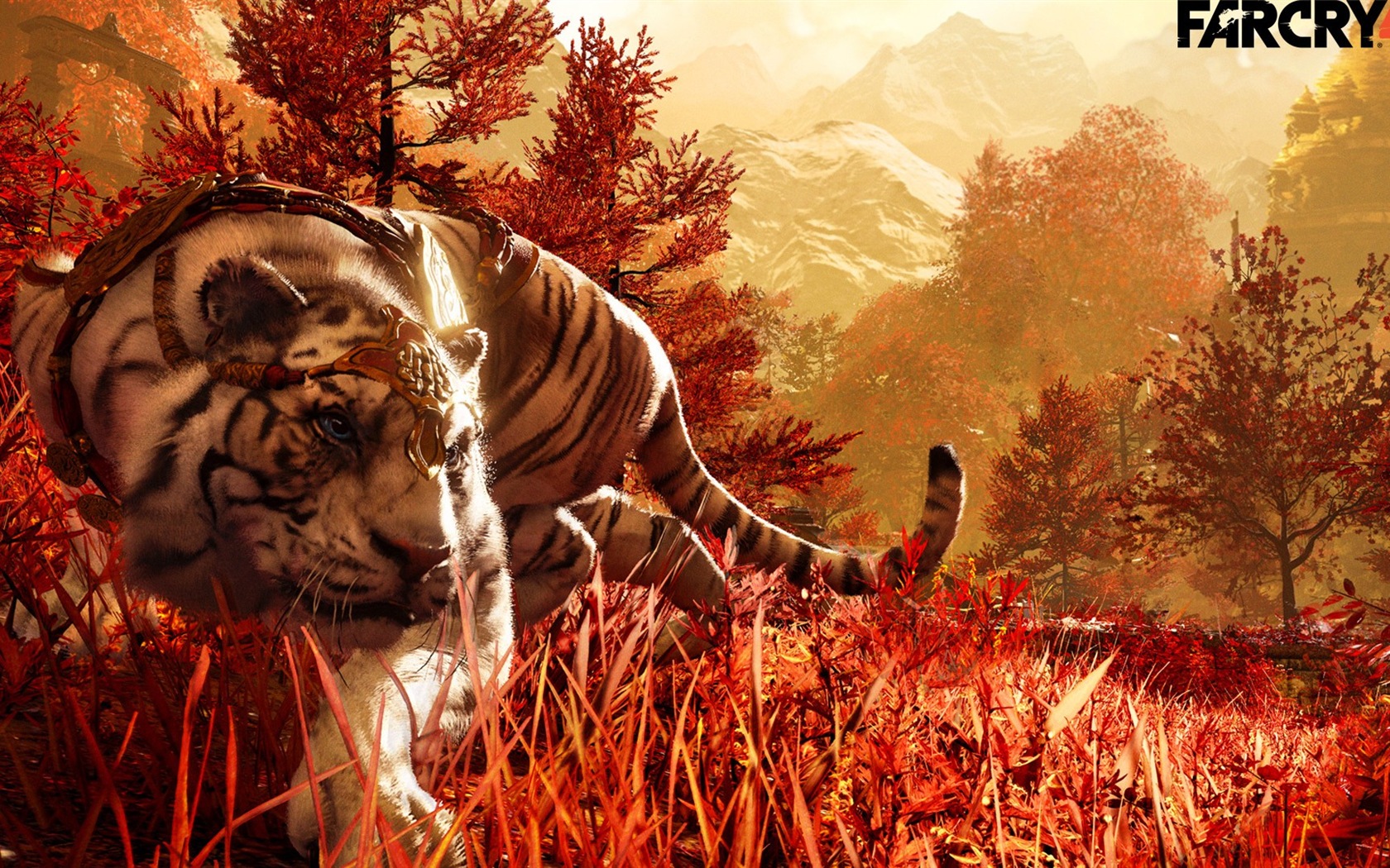 Far Cry 4 HD fondos de pantalla de juegos #2 - 1680x1050
