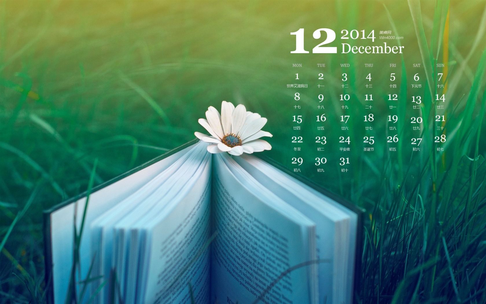 Декабрь 2014 Календарь обои (1) #7 - 1680x1050