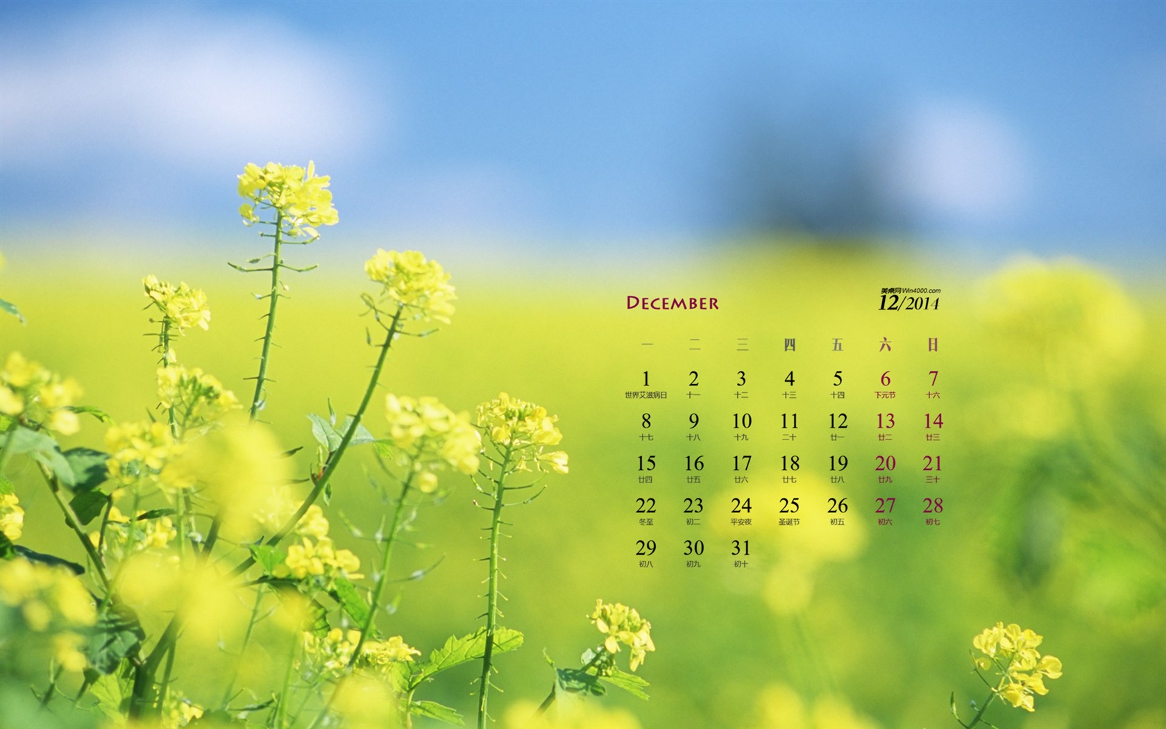 12. 2014 Kalendář tapety (1) #8 - 1680x1050