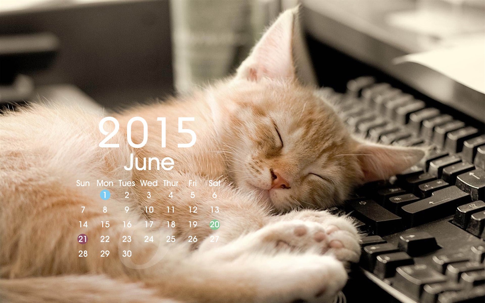 Kalendář 2015 HD tapety na plochu #19 - 1680x1050