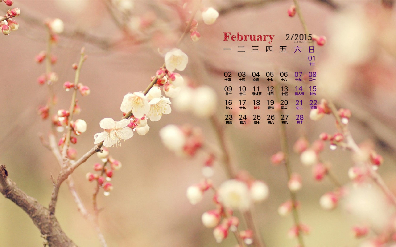 Февраль 2015 Календарь обои (1) #12 - 1680x1050