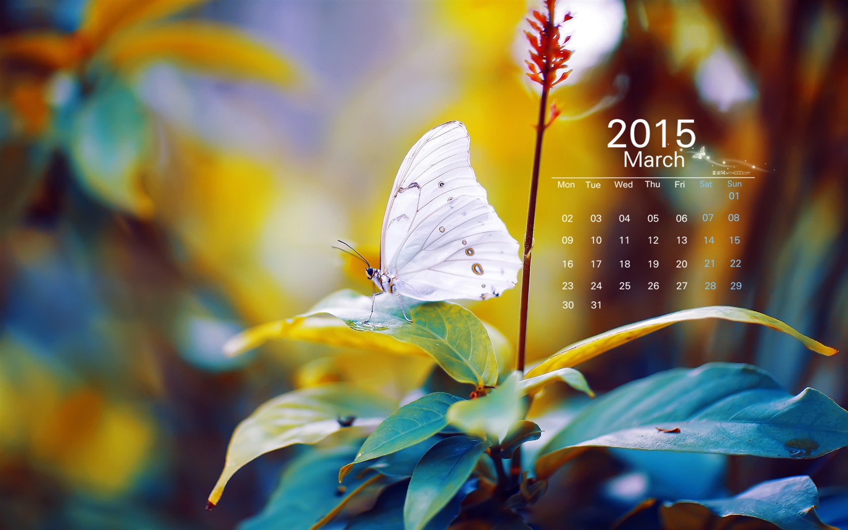 März 2015 Kalender Tapete (1) #8 - 1680x1050