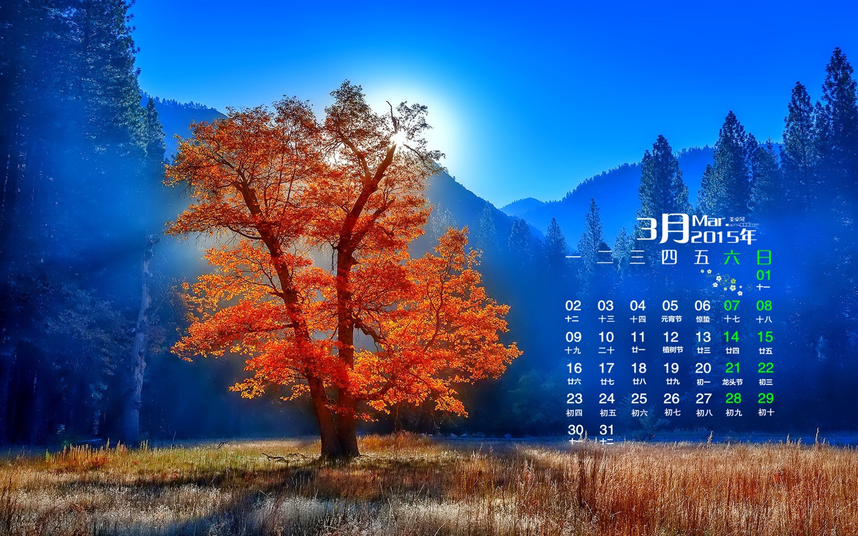 Март 2015 Календарь обои (1) #16 - 1680x1050