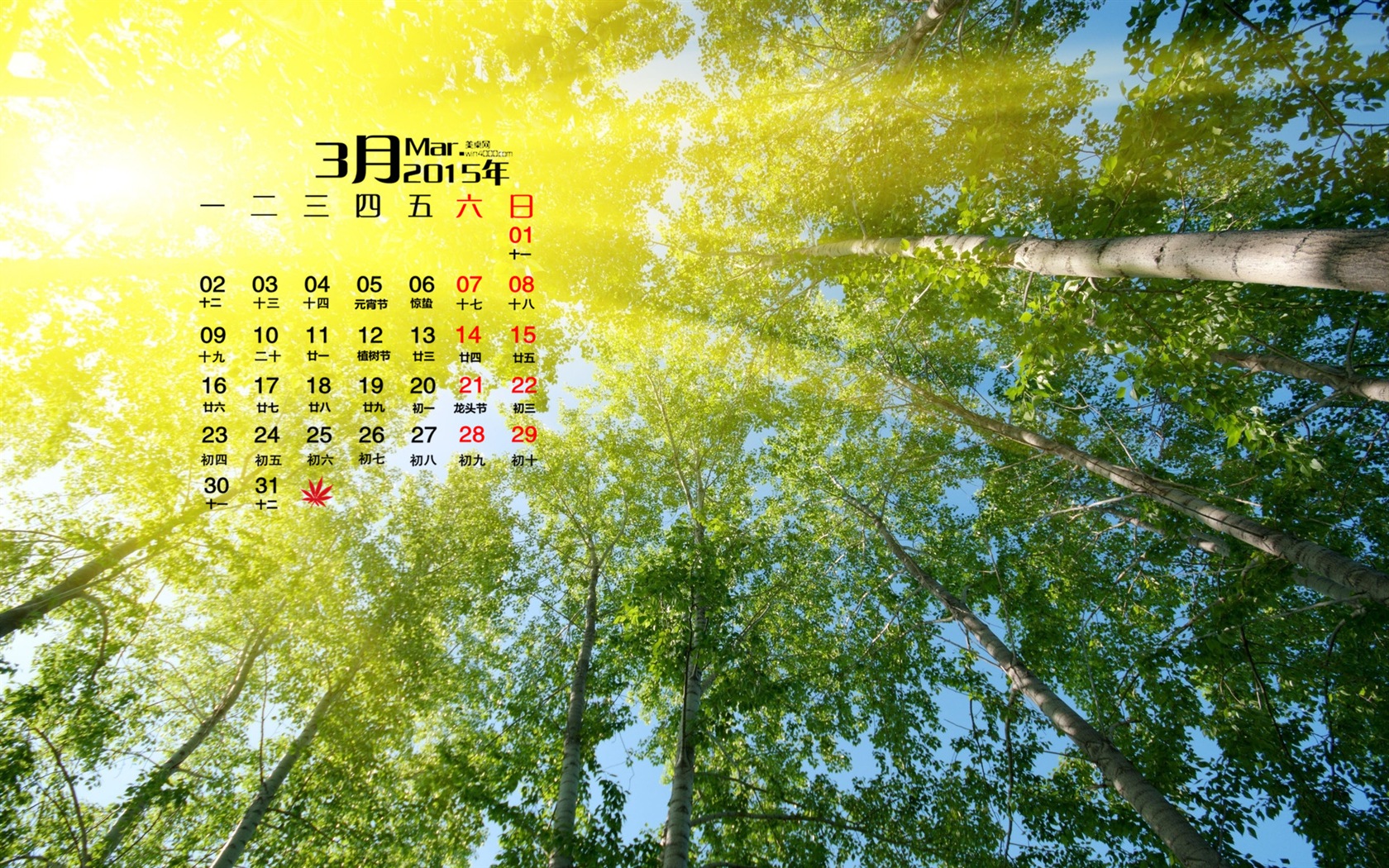 März 2015 Kalender Tapete (1) #20 - 1680x1050