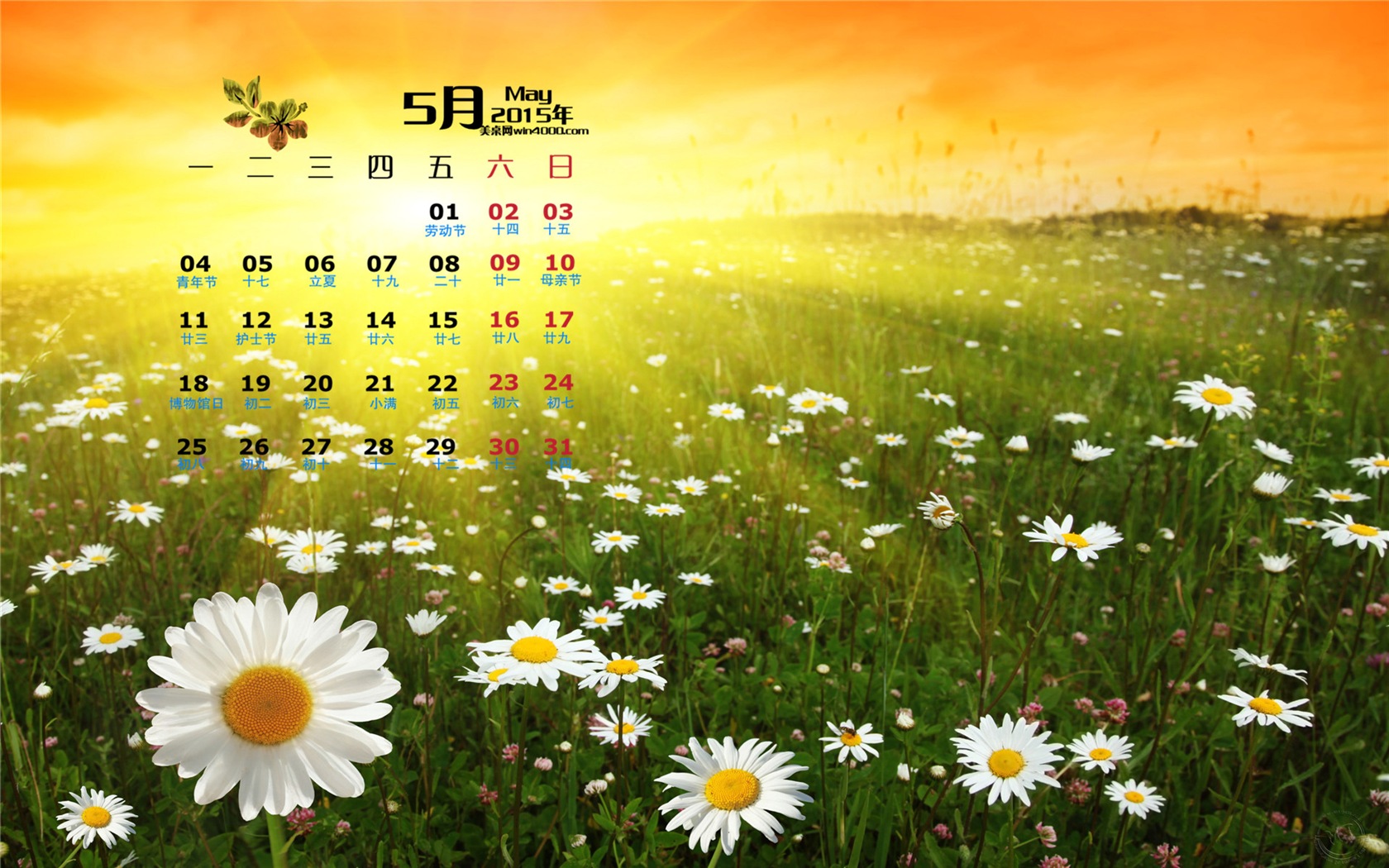 Mai 2015 calendar fond d'écran (1) #15 - 1680x1050