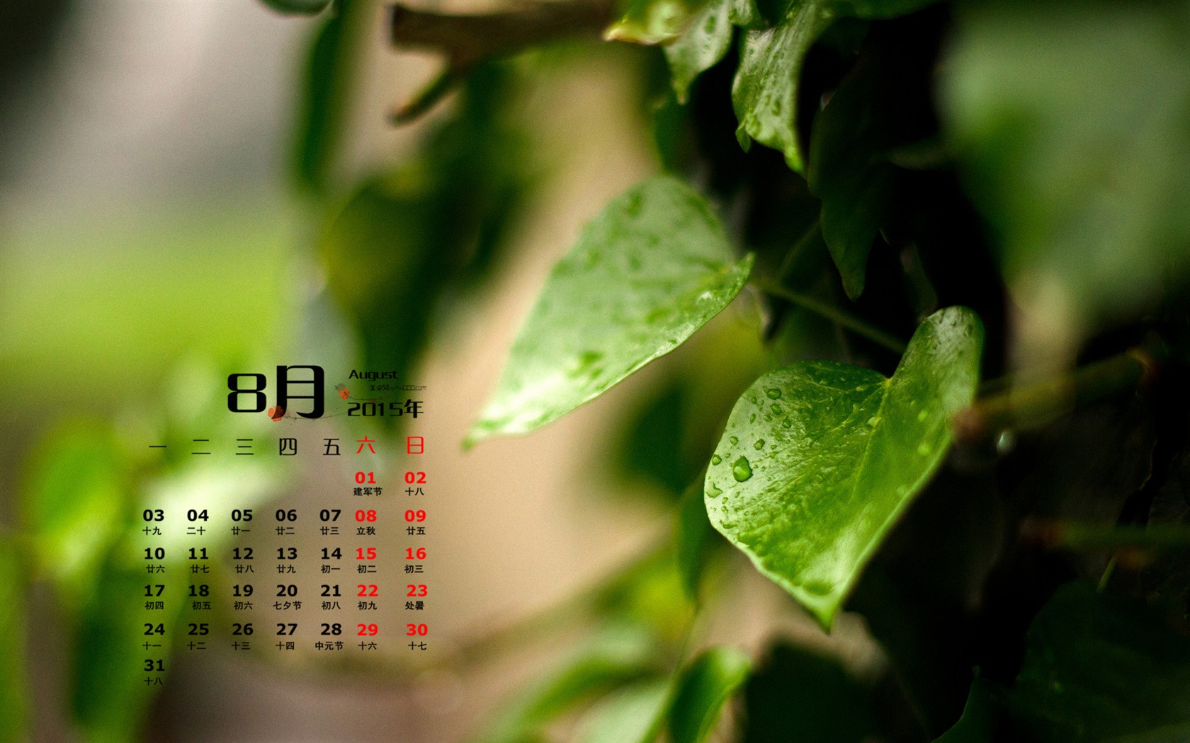 08. 2015 kalendář tapety (1) #11 - 1680x1050