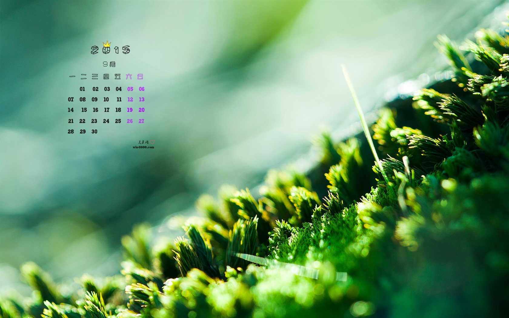 September 2015 calendar wallpaper (1) #7 - 1680x1050